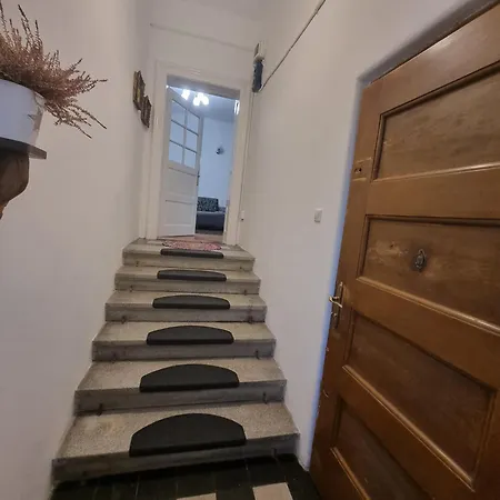 Castanilor Boutique Brasov